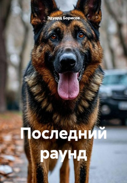 Скачать книгу Последний раунд