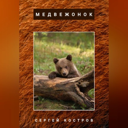 Скачать книгу Медвежонок