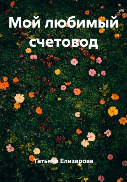 Скачать книгу Мой любимый счетовод