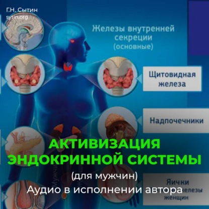 Скачать книгу Активизация эндокринной системы (для мужчин)