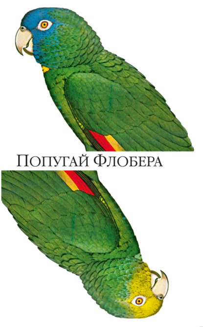 Скачать книгу Попугай Флобера