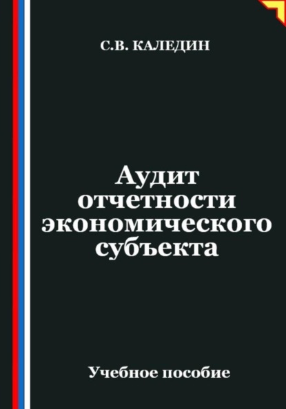 Скачать книгу Аудит отчетности экономического субъекта