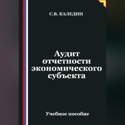 Скачать книгу Аудит отчетности экономического субъекта