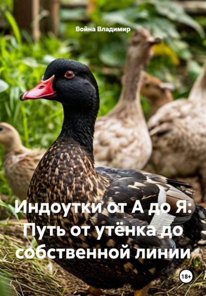 Скачать книгу Индоутки от А до Я: Путь от утёнка до собственной линии