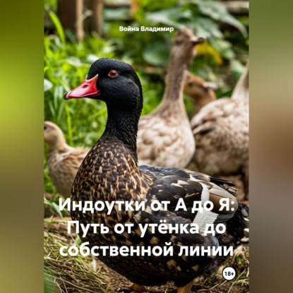 Скачать книгу Индоутки от А до Я: Путь от утёнка до собственной линии