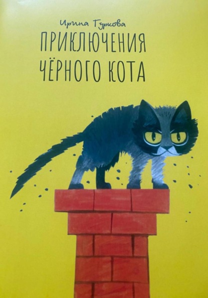 Приключения Чёрного кота