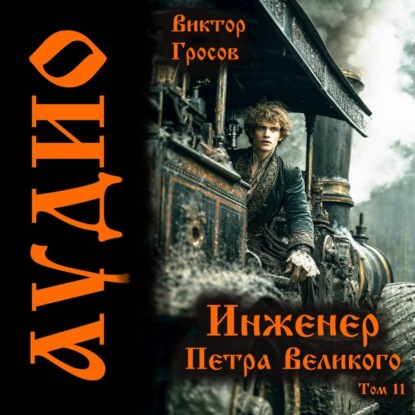 Скачать книгу Инженер Петра Великого – 11