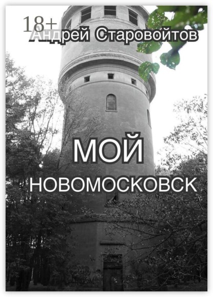 Скачать книгу Мой Новомосковск