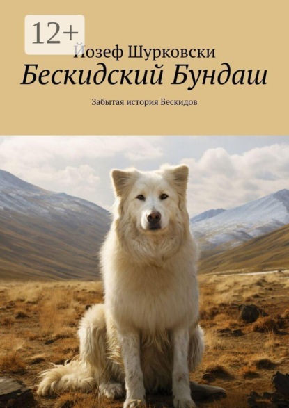 Скачать книгу Бескидский Бундаш. Забытая история Бескидов