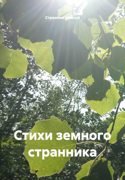 Скачать книгу Стихи земного странника