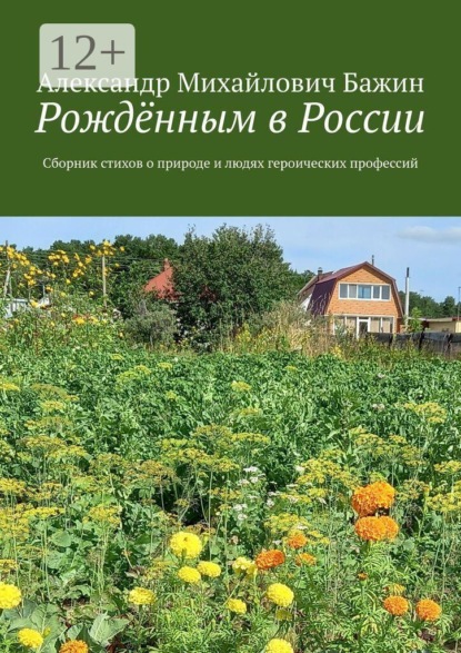 Скачать книгу Рождённым в России. Сборник стихов о природе и людях героических профессий