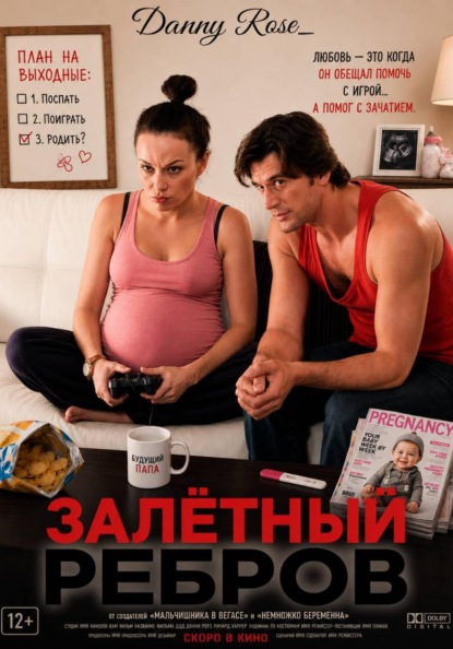 Скачать книгу Залётный Ребров