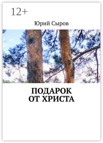 Скачать книгу Подарок от христа