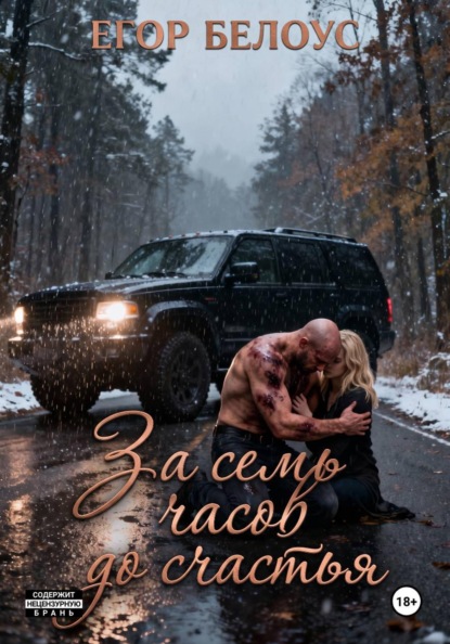 Скачать книгу За семь часов до счастья