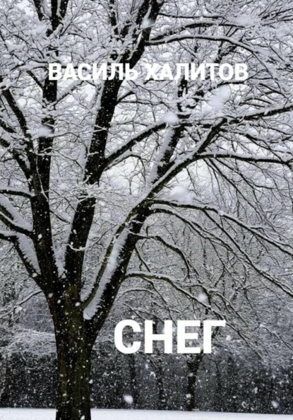 Скачать книгу Снег