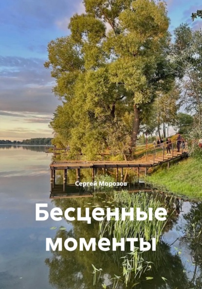 Скачать книгу Бесценные моменты