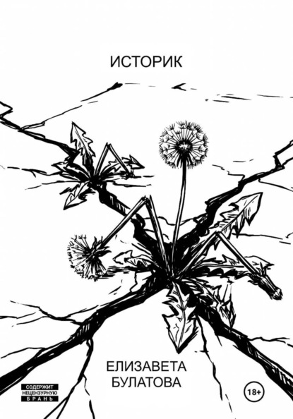 Скачать книгу Историк