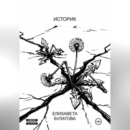 Скачать книгу Историк