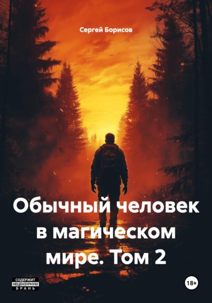 Скачать книгу Обычный человек в магическом мире. Том 2