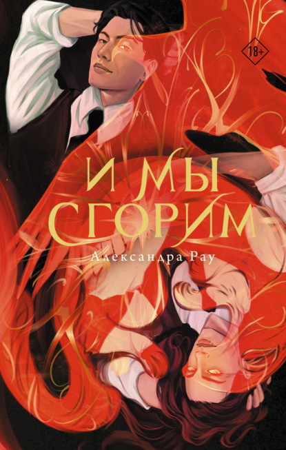 Скачать книгу И мы сгорим