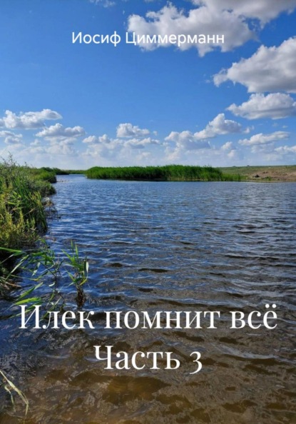 Скачать книгу Илек помнит всё Часть 3