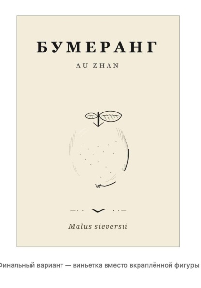Скачать книгу Бумеранг