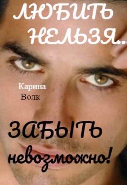 Скачать книгу Любить Нельзя, Забыть Невозможно