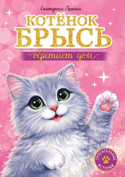 Котёнок Брысь обретает дом