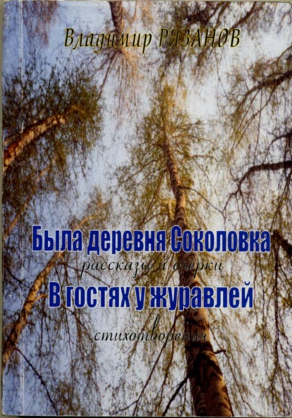 Была деревня Соколовка