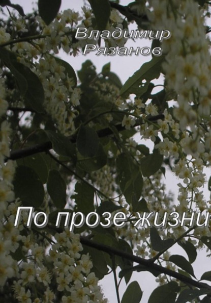 По прозе жизни