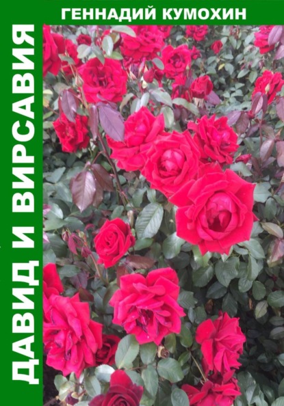 Скачать книгу Давид и Вирсавия