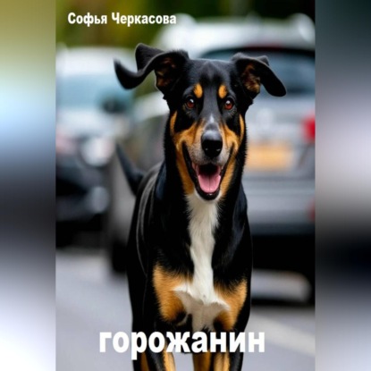 Скачать книгу Горожанин