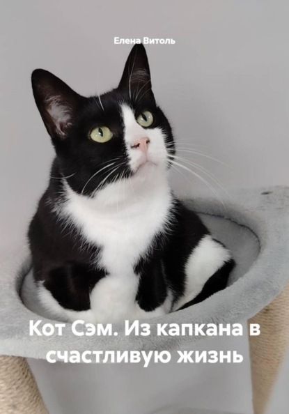 Кот Сэм. Из капкана в счастливую жизнь