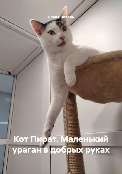 Кот Пират. Маленький ураган в добрых руках