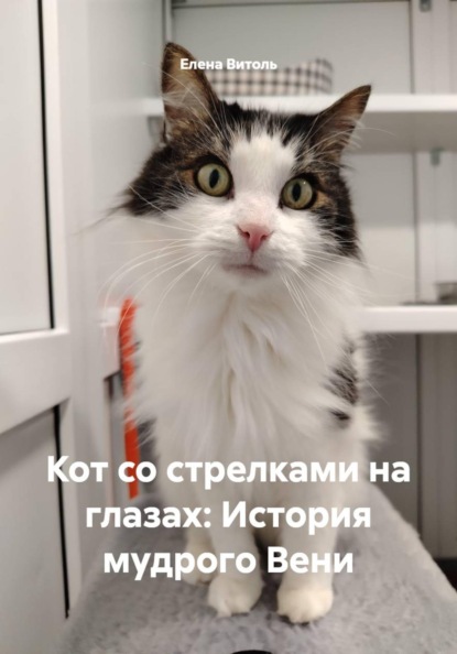 Кот со стрелками на глазах: История мудрого Вени