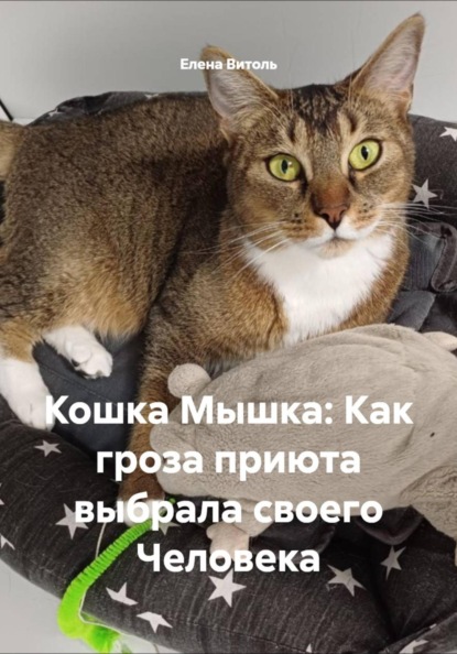 Кошка Мышка: Как гроза приюта выбрала своего Человека