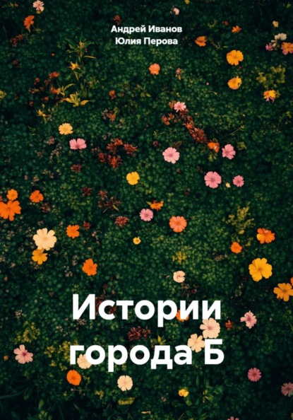 Скачать книгу Истории города Б