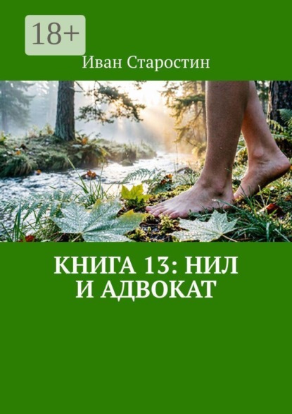 Скачать книгу Книга 13: Нил и адвокат