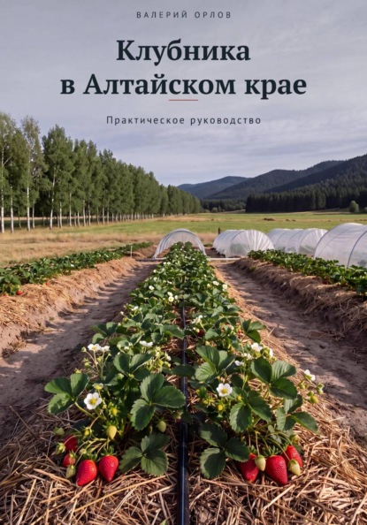 Скачать книгу Клубника в Алтайском крае. Практическое руководство