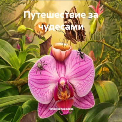 Скачать книгу Путешествие за чудесами