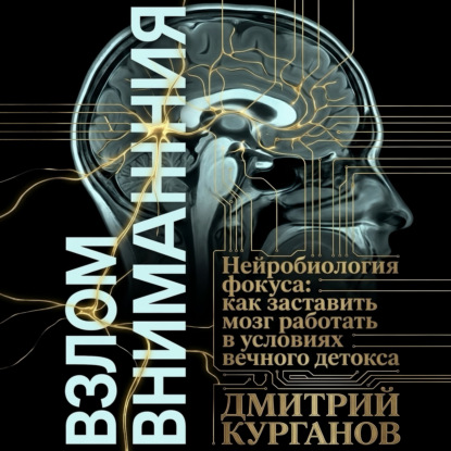 Скачать книгу Взлом внимания. Нейробиология фокуса: как заставить мозг работать в условиях вечного детокса