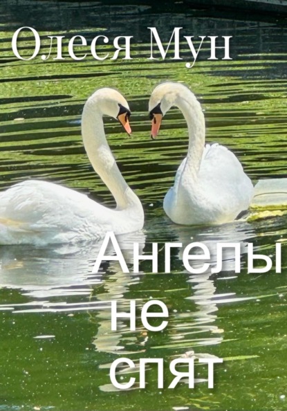 Скачать книгу Ангелы не спят