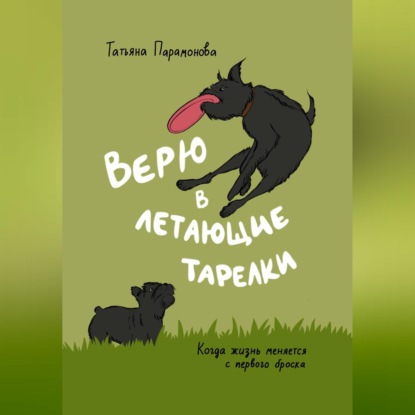 Скачать книгу Верю в летающие тарелки