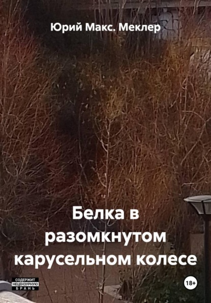 Скачать книгу Белка в разомкнутом карусельном колесе