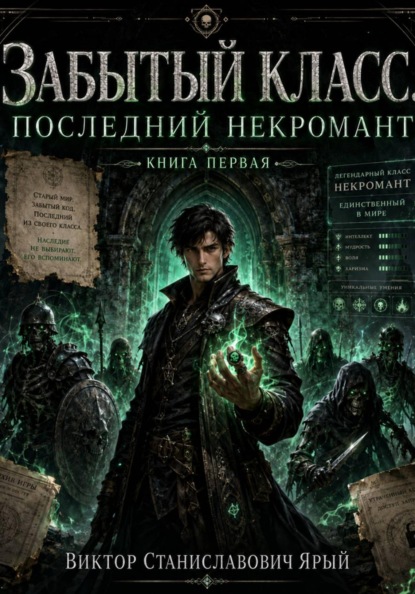 Скачать книгу ЗАБЫТЫЙ КЛАСС. ПОСЛЕДНИЙ НЕКРОМАНТ