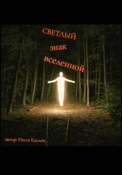 Скачать книгу Светлый знак Вселенной