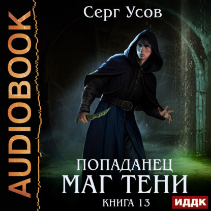 Скачать книгу Попаданец. Маг Тени. Книга 13