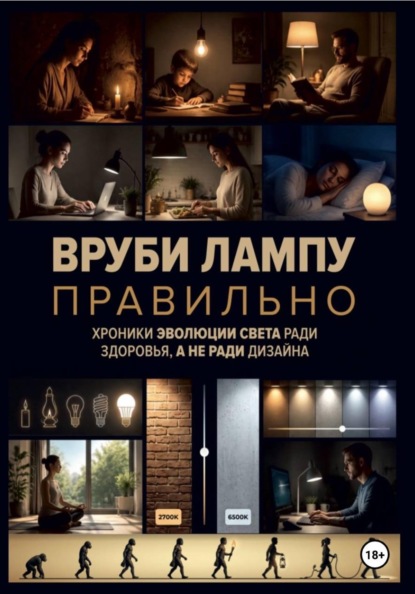 Скачать книгу Вруби лампу правильно