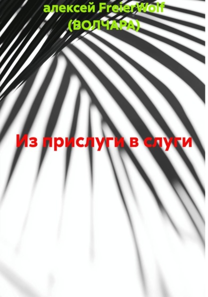 Скачать книгу Из прислуги в слуги