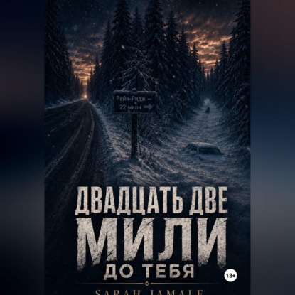 Скачать книгу Двадцать две мили до тебя